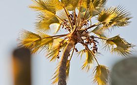 Palmwag